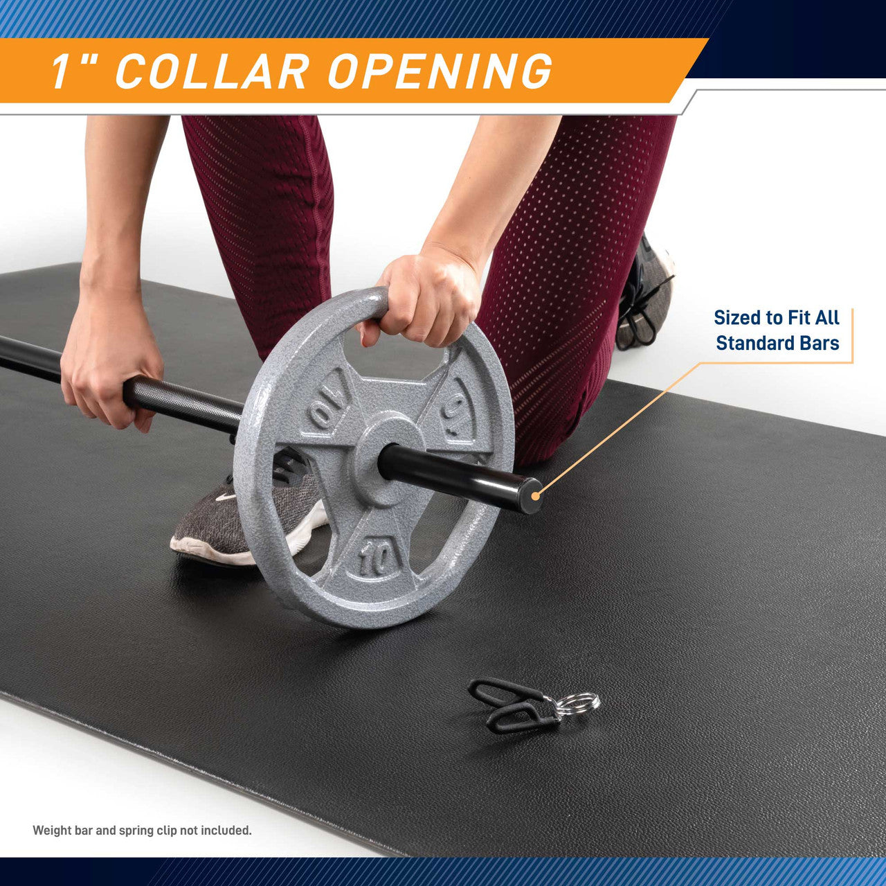 2.5lb Standard Size Grip Plate B5G-FAMILY | B5G-5502
