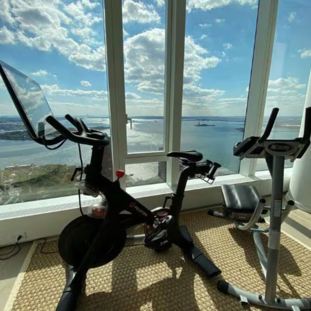 The Abs Company Personal Series Ab Coaster PS500