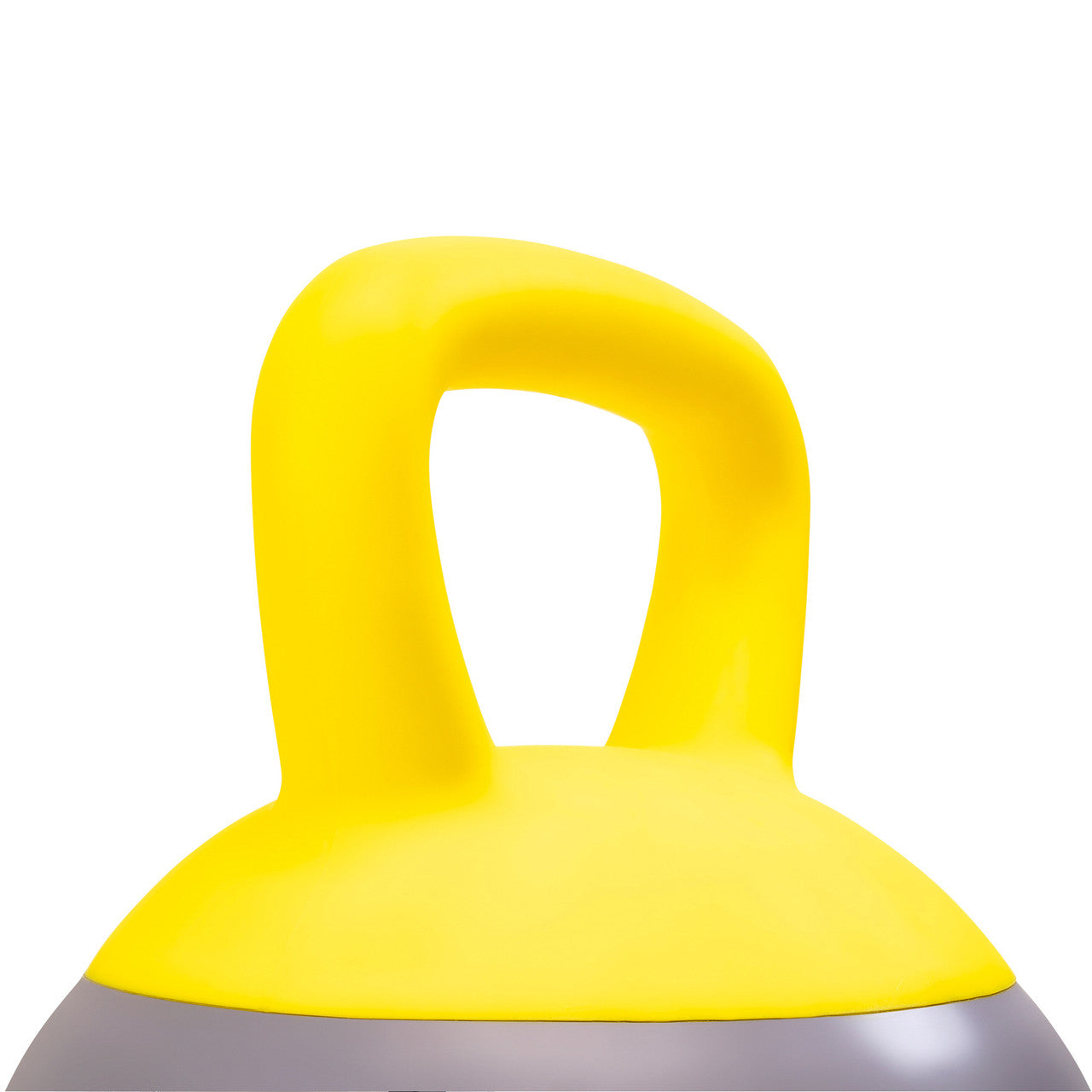 Soft Kettlebell 24lbs filled with Iron Sand, Non-Slip Handle, Kettle Weight for Exercise Workouts PRO-HL24L |  ProIron