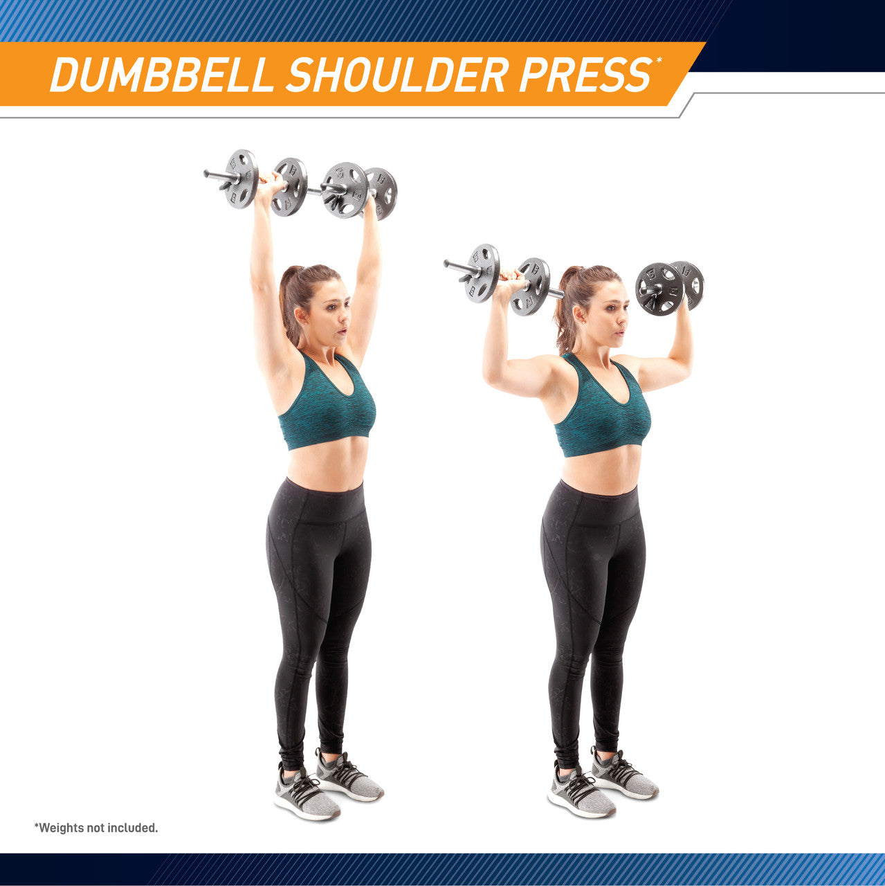 Standard Curl Bar & Dumbbell Handle Set | Marcy SDC-10.1