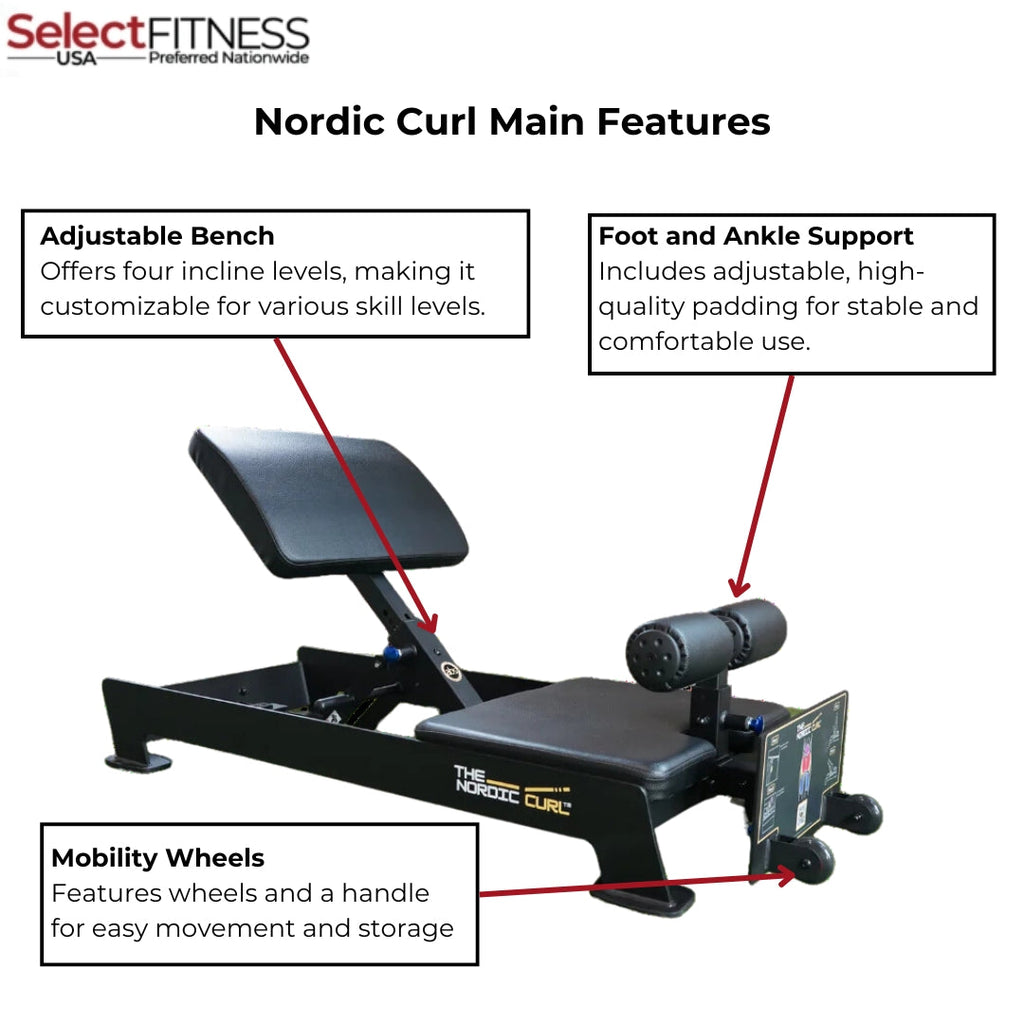 The Abs Company ABS1022 Nordic Curl- Leg Curl Machine