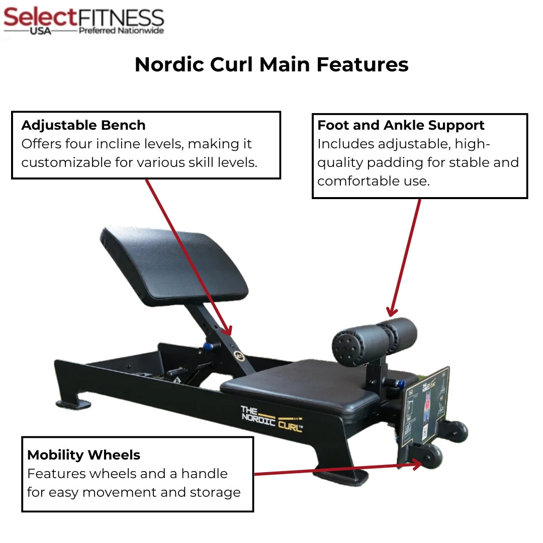 The Abs Company ABS1022 Nordic Curl- Leg Curl Machine