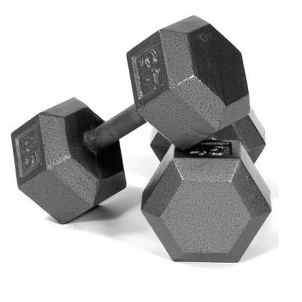 Troy USA Sports Gray Cast Iron Dumbbell Sets - IHD