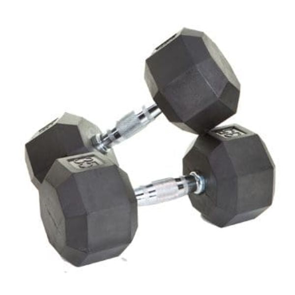 Troy VTX 8-Sided Rubber Dumbbells -SD-R