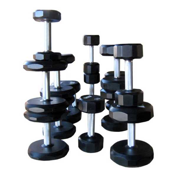 Troy Barbell 12- Sided Urethane Dumbbells TSD-U