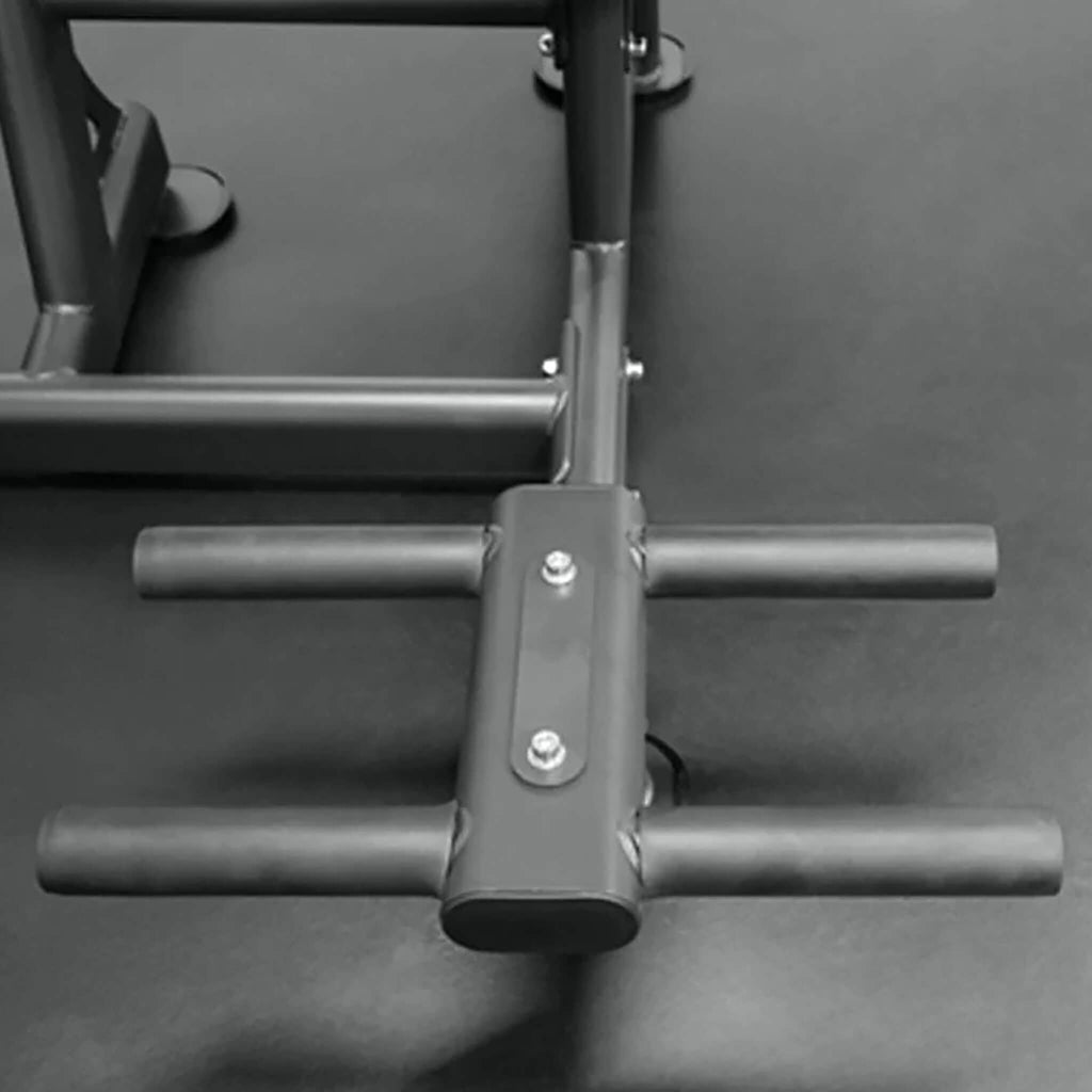Bodykore Isolation Series Abdominal/back Extension Combo GR637